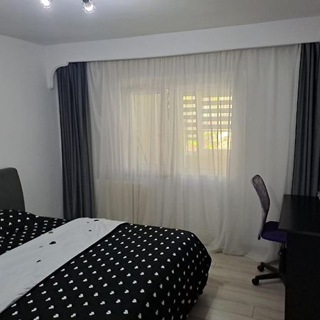 Ilona Apartament 3 Camere Рымнику-Вылча Экстерьер фото