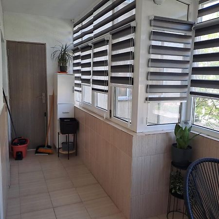 Ilona Apartament 3 Camere Рымнику-Вылча Экстерьер фото