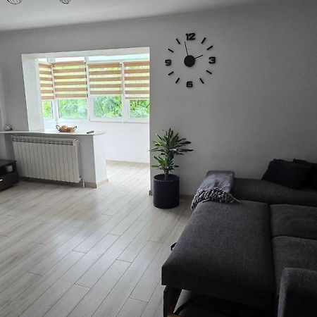 Ilona Apartament 3 Camere Рымнику-Вылча Экстерьер фото